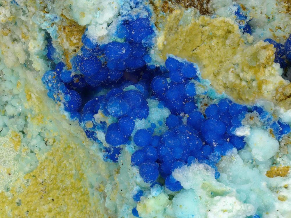 Cyanotrichit & Chalkoalumit